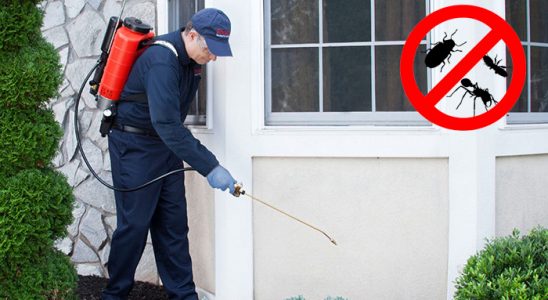 Karabağlar Pire İlaçlama böcek ilaçlama ve haşere kontrolü — ilaclama-tr.com